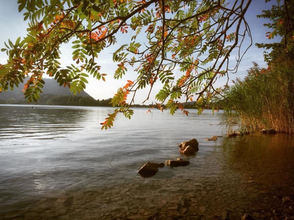 Apartmenthaus Der Johanneshof - Tolle Lage Nah Am See Schliersee Exterior photo